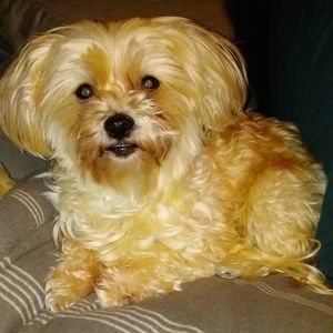 Meet your Posher, Maryann